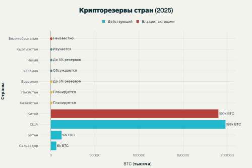 Казахстан создает государственный крипторезерв: схема управления и международный опыт